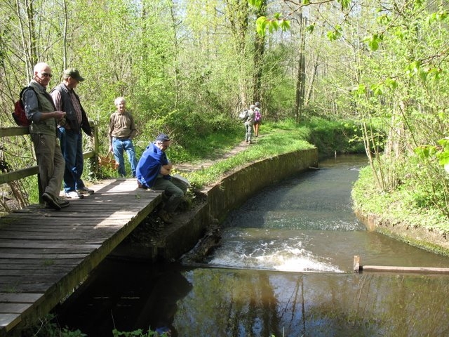 2008 04  Bota et Myco 12